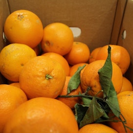 Kymmenen kilon appelsiinilähetys on pakattu väljästi pahvilaatikkoon. Crowdfarming kannustaa oman hedelmäpuun &quot;adoptoimiseen&quot; säännöllisine tilauksineen, mutta satotilanteen salliessa yksittäisten laatikoiden tilaaminenkin on mahdollista.