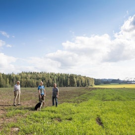 Notkolan tilan kolme sukupolvea tarkastamassa nurmen kasvua. Vasemmalla vanha isäntä Simo Turakainen, keskellä nuorin isäntä Martti Turakainen ja oikealla isäntä Petri Turakainen.