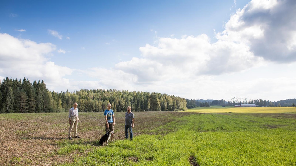 Notkolan tilan kolme sukupolvea tarkastamassa nurmen kasvua. Vasemmalla vanha isäntä Simo Turakainen, keskellä nuorin isäntä Martti Turakainen ja oikealla isäntä Petri Turakainen.