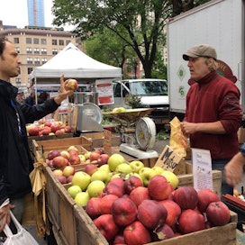 Richard Fischler ei asu Manhattanilla, mutta käy lauantaina sen sydämessä tuottajatorilla. “Tärkeintä ei ole luomu, vaan maku.”
