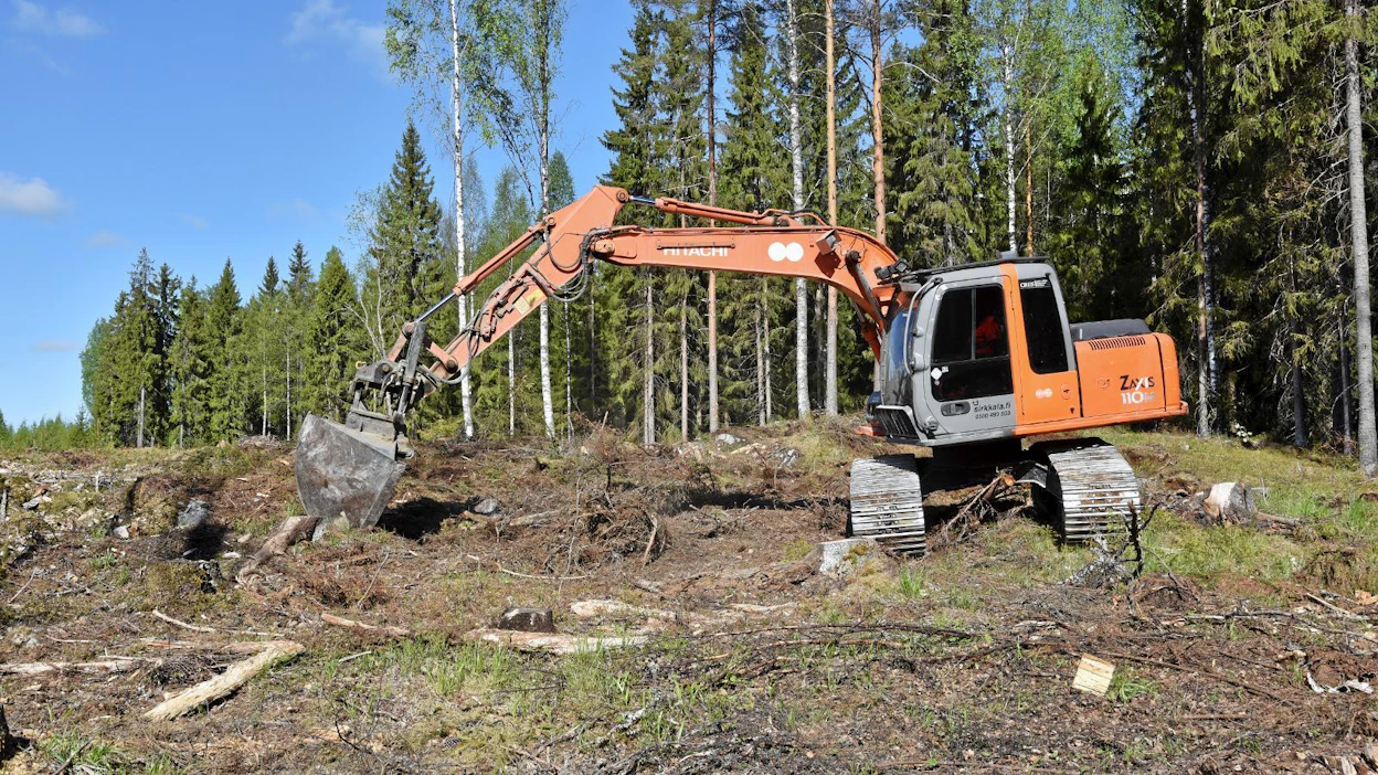 Onnistunut metsän uudistaminen vaatii aina kunnon muokkauksen.
Sirkkalan Maansiirron kaivinkone muokkaa kuivahkoa mäkeä Orimattilassa.