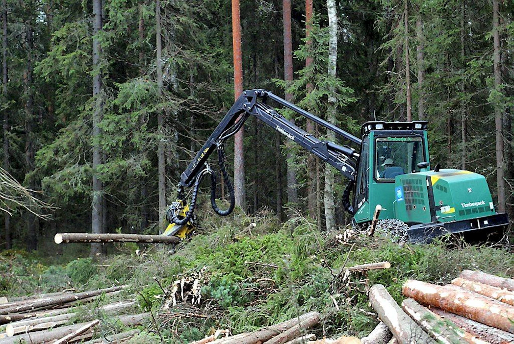 Tampereen Viinikan musiikkiluokan 8 F:n metsäpäivän aikana oppilaat tutustuvat Teiskossa mm. metsäammatteihin ja soutavat kirkkoveneellä. Hakkuukone kuusikon avohakkuutyömaalla.