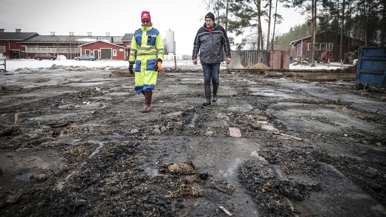 Päivi Pasasen ja Voitto Muhosen vanha navettarakennus tuhoutui tulipalossa täysin. Taustalla näkyvä uusi navetta säästyi vahingoilta.