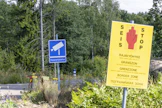 Sikarutto rajoittaa lintujen syysmuuton seurantaa Virolahden muutamilla suosituilla bogauspaikoilla rajan tuntumassa.