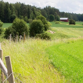 Suorat hehtaariperusteiset tuet ovat Suomea korkeampia esimerkiksi Ranskassa ja Hollannissa.