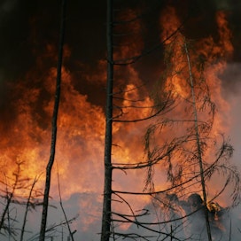Tuhoisan Västmanlandin metsäpalon selvittely jatkuu oikeudessa. Kuvan palo ei liity tapaukseen.