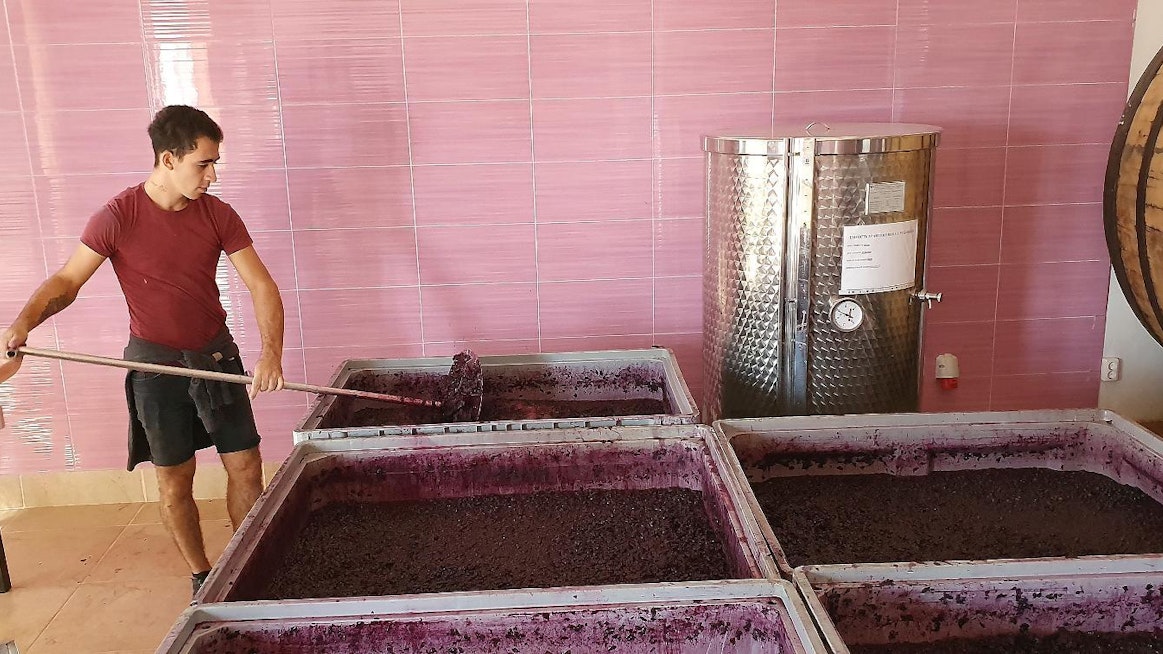 Murat Pogosov sekoittaa rypälemassaa Semigorjen kartanon viinitilalla. Tilalla on kiire, sillä rypäleiden sesonki kestää elokuun lopusta alkaen noin kolme viikkoa.