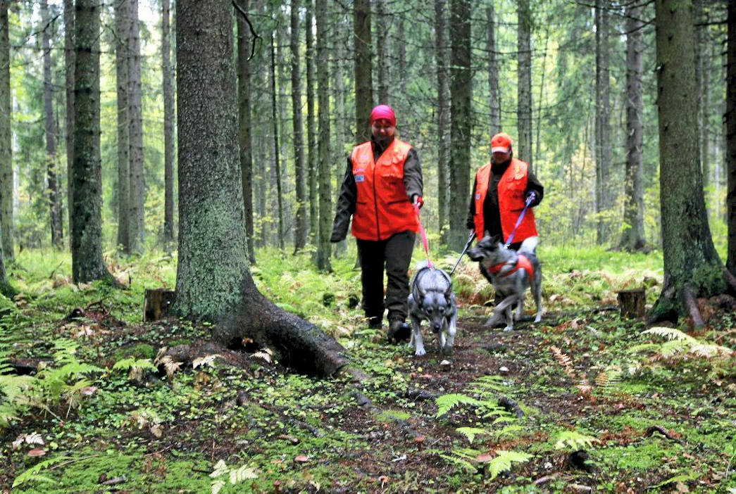 Suomen Metsästäjäliitto järjesti tiedotustilaisuuden jossa naismetsästäjät kertoivat harrastuksestaan ja opetusneuvos, keittiömestari Jaakko Kolmonen valmisti naisten tuomasta riistasta ruokaa. Anne ja Tiina Paajanen sekä metsästyskoirat, metsästys.