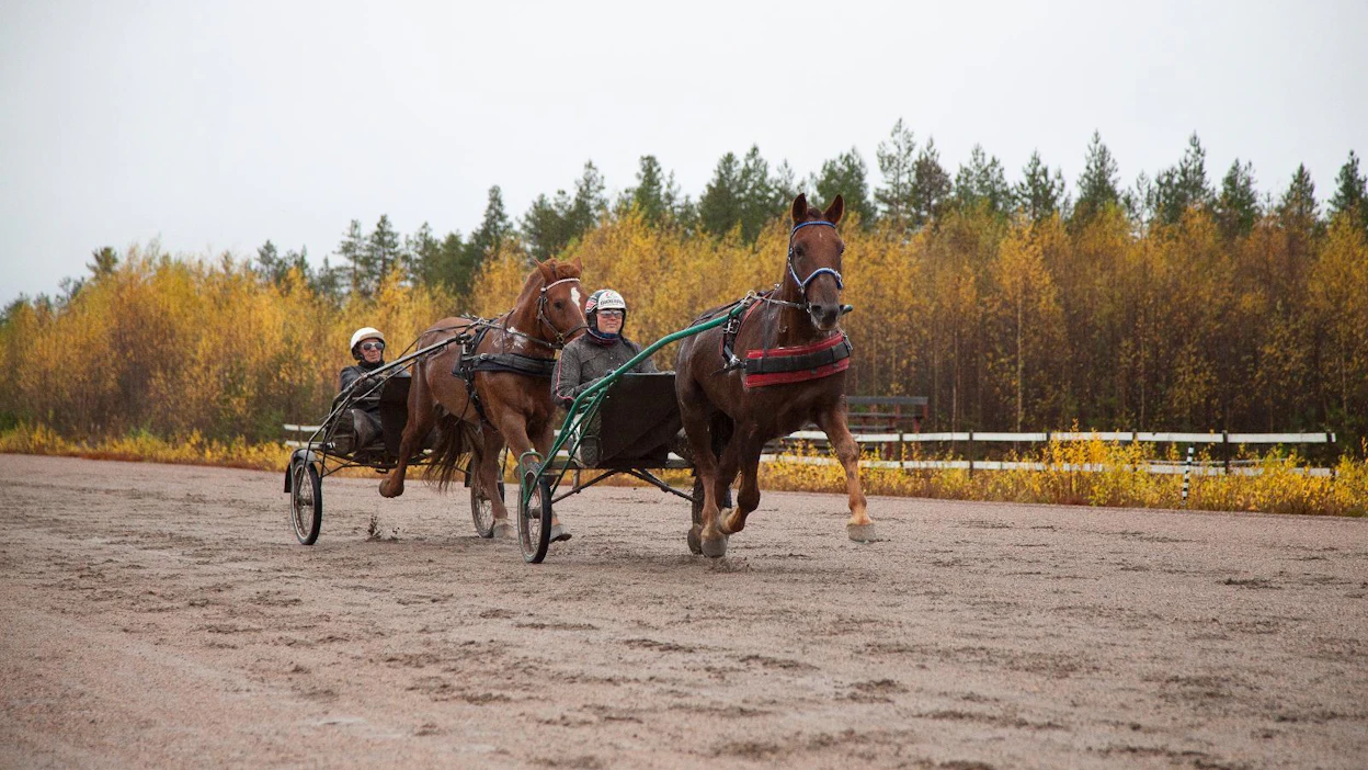 Kimmo Taipale ajaa edellä Virin Ekolla ja puserossa kiinni seuraa Raimo Tossavainen Herra Hanurilla. Taipaleen valmennettavat käyttävät paljon Keiteleen Hevosystäväseuran ravirataa.