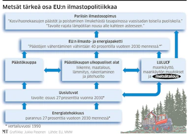 Komission kesäpaketti sitoo metsätalouden osaksi EU:n ilmastopolitiikan kokonaisuutta. Vuoden 2020 tavoitteessa metsät eivät ole mukana, mutta 2030 tavoitteeseen ne halutaan.