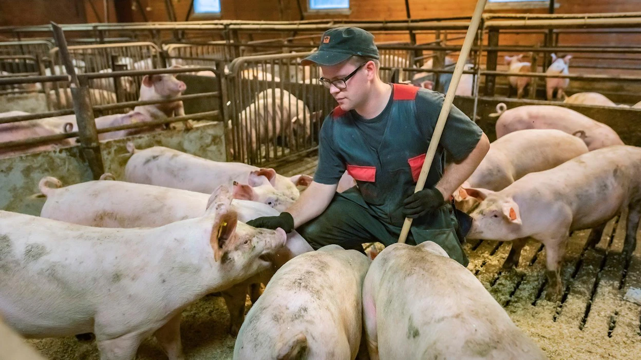 Itikka osuuskunnan ja Lihakunnan toimitusjohtajan Risto Lahden mukaan osuuskunnissa on tehty aktiivisesti töitä nuorten ja naisten osuuden kasvattamiseksi edustajistossa. Ehdokaslistan perusteella työ näyttää tuottaneen tulosta, lopullisen päätöksen tekevät äänestäjät huhtikuussa.