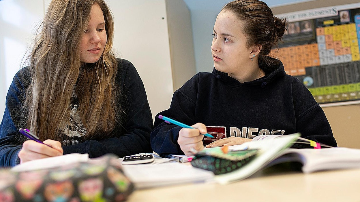 Nea Kentta ja Marianna Peltola ovat tottuneita laskijoita. Matematiikalla on tärkeä rooli eläinlääkärin opinnoissa.