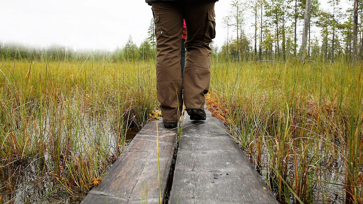 Puretun taukopaikan tai poistettujen pitkospuiden merkinnät pyyhitään myös Metsähallituksen kartoista ja verkkopalveluista.