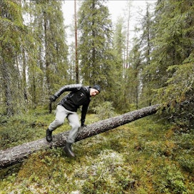 Miikka Sutela viihtyy metsässä vapaa-ajallaankin. Seuraavaksi hankinnassa on metsästyskortti. Erityisesti jousimetsästys kiinnostaa. Pekka Fali