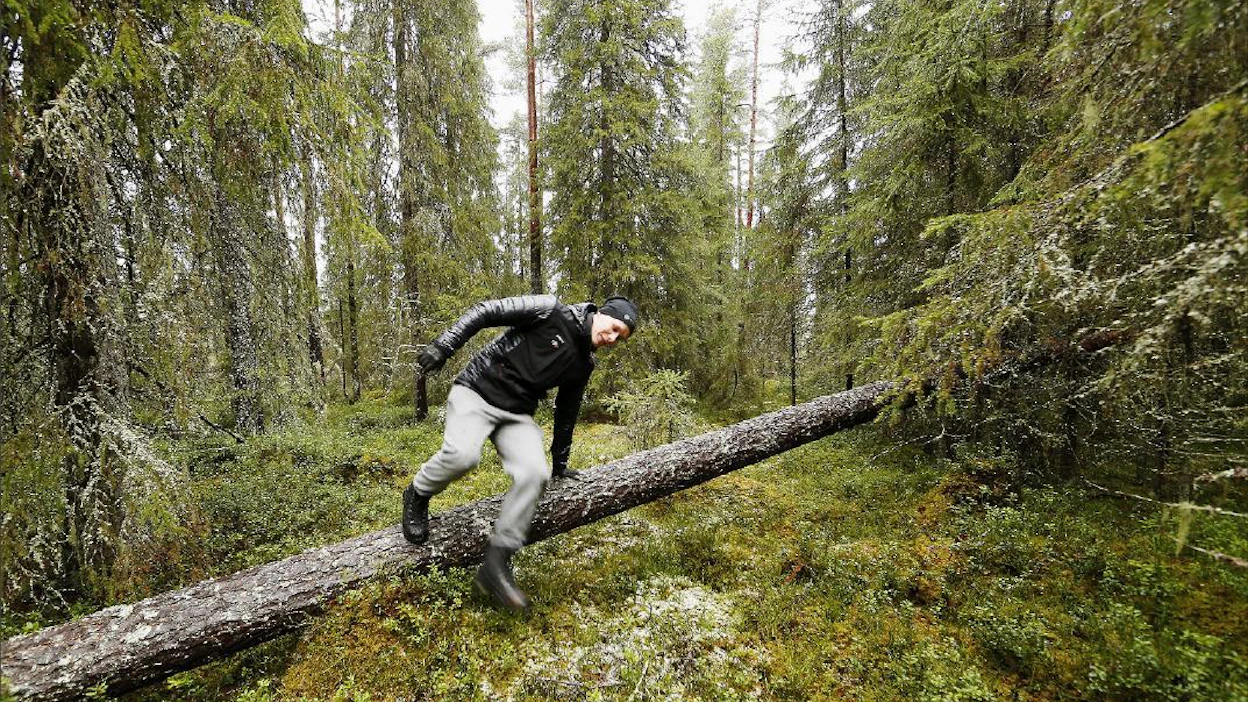 Miikka Sutela viihtyy metsässä vapaa-ajallaankin. Seuraavaksi hankinnassa on metsästyskortti. Erityisesti jousimetsästys kiinnostaa. Pekka Fali