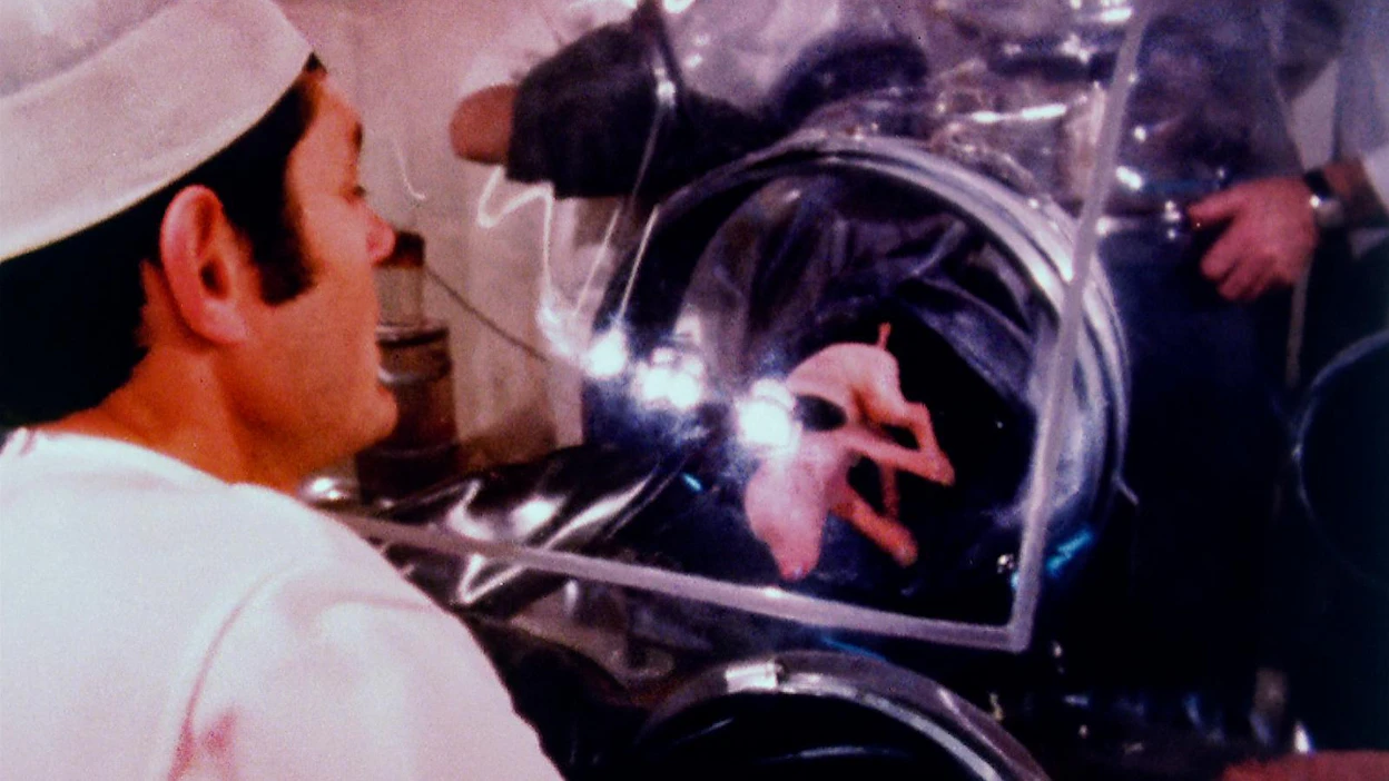 Tanskassa kokeiltiin 1980-luvun alussa porsaiden keisarileikkausta ja kasvatusta eräänlaisessa keskoskaapissa infektioiden välttämiseksi. Suomessakin kokeiltiin tuolloin sikojen kasvatusta monikerroshäkeissä.