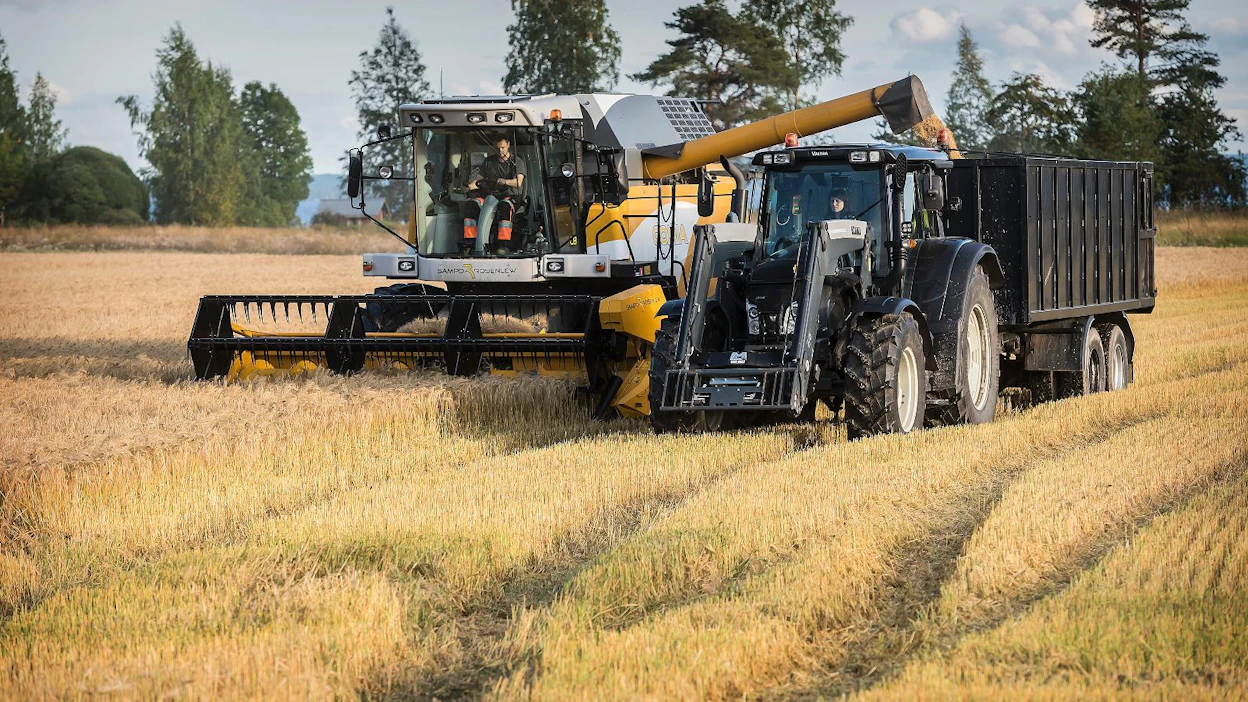 Jarkko ja Minna Rauhala kertovat, että saaressa sataa vähemmän kuin muualla paikkakunnalla.