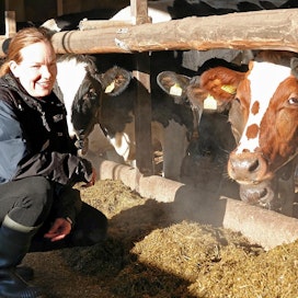 Maitotilan menestyminen lähtee lehmien hyvinvoinnista. Lehmien eli työkavereiden työoloja on pyritty parantamaan koko ajan, Titta Liukkala kertoo.