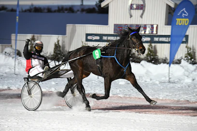 Midnight Hour sai aloittaa viime talven pronssidivisioonasta, mutta nyt vastus on heti kovinta A-ryhmää. Kuva: Anu Leppänen