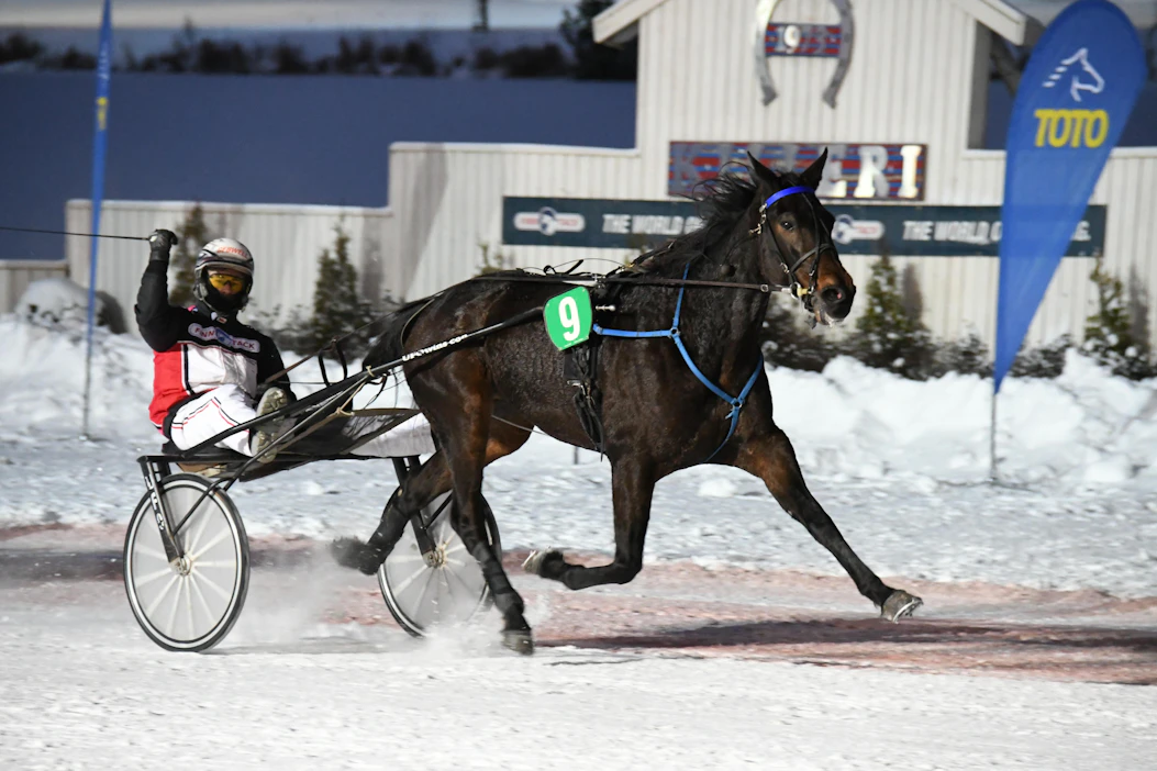 Midnight Hour sai aloittaa viime talven pronssidivisioonasta, mutta nyt vastus on heti kovinta A-ryhmää. Kuva: Anu Leppänen