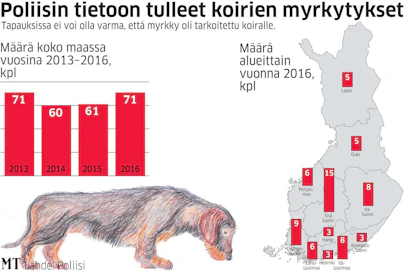 Jos koira syö maastosta myrkkyä, ei ole väliä, oliko se tarkoitettu sille vai rotalle. Siksi omistajan on oltava tarkkana.