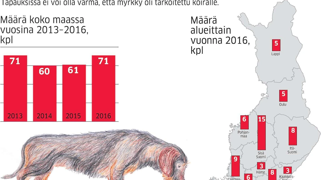 Jos koira syö maastosta myrkkyä, ei ole väliä, oliko se tarkoitettu sille vai rotalle. Siksi omistajan on oltava tarkkana.