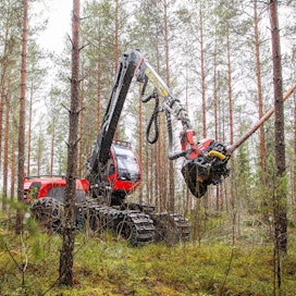 MTK:n metsäjohtaja Marko Mäki-Hakola kaipaa Suomen hallitukselta vahvempaa metsätalouden edunvalvontaa EU:n suuntaan.