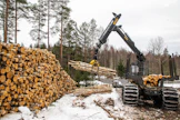 Pitkä motolista kertoo yksityiskohtaisesti sen, mitä metsästä on hakattu.