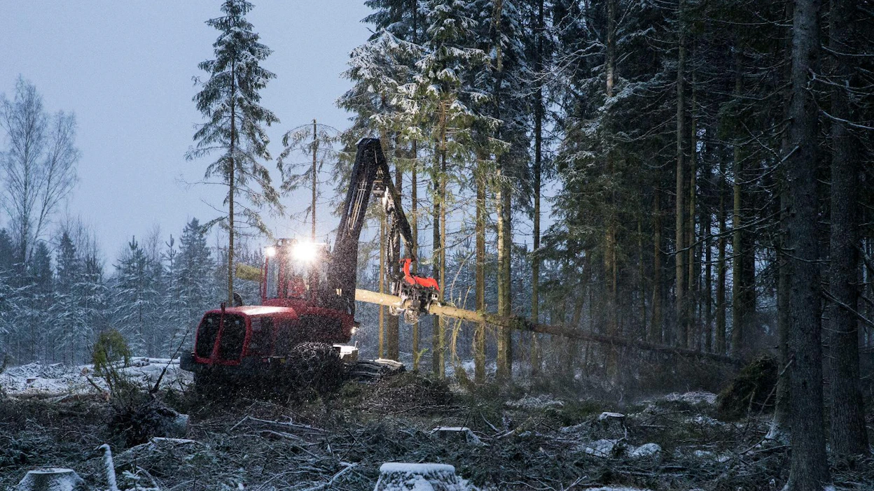 Tukkivaltaiset kohteet eivät paljon kiinnosta puunostajia. Kuitupuun kysyntä on hieman parempaa.