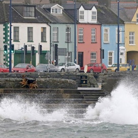 Myrsky iski voimalla rannikolle Belfastin itäpuolella. LEHTIKUVA/AFP