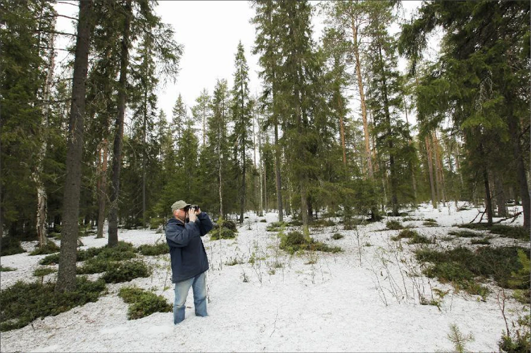 Pekka Fali Sanginjoki on suosittu ulkoilualue. Ari Lotja kiikaroi alueella lintuja torstaina.
