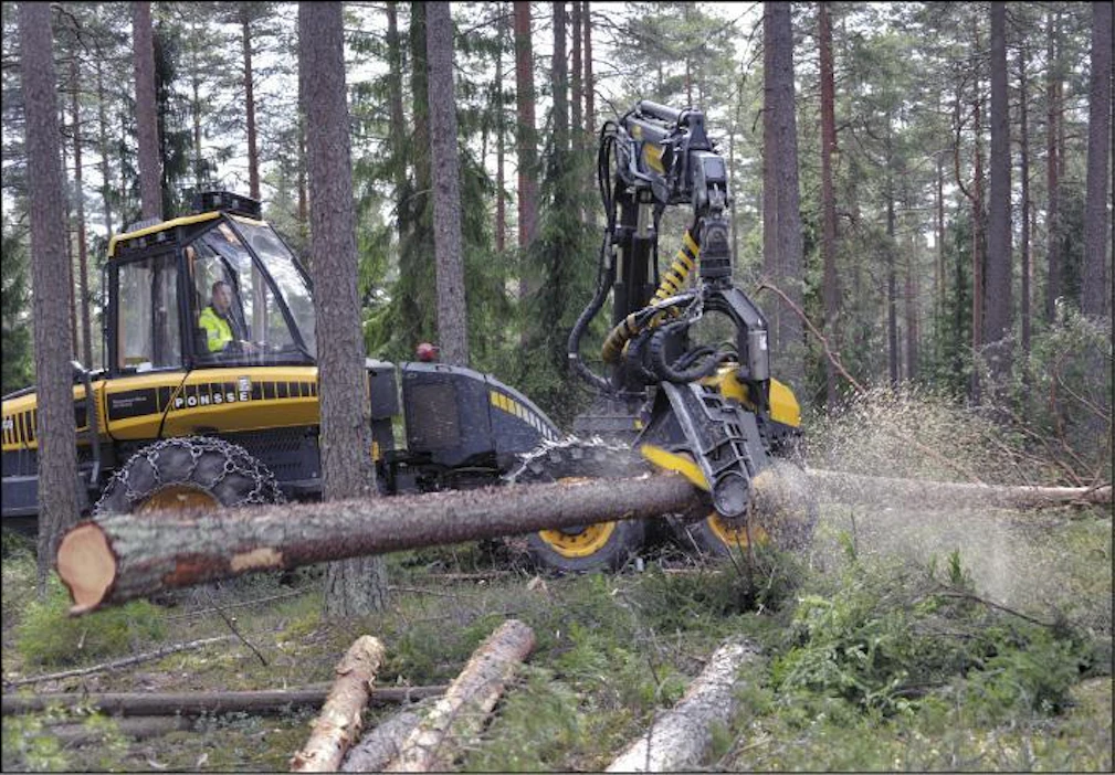 Metsäkoneyrittäjä Jukka Mikkola hakkasi harvennusleimikkoa maanantaina Lohjalla. Tukit menevät Versowoodille ja kuitupuut Stora Ensolle. SARI GUSTAFSSON