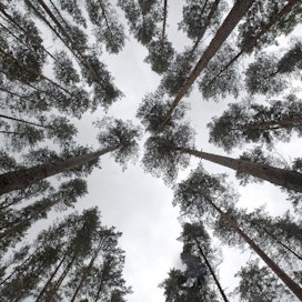 ”Metsä on suomalaisille suuri mahdollisuus, ja nyt on metsäteollisuuden tulevaisuuden osaajien vuoro näyttää suuntaviivoja”, Metsäteollisuus ry:n toimitusjohtaja Timo Jaatinen sanoo.