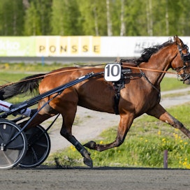 MAS Champ ja Santtu Raitala tekivät Kuopion Kavioliiga Grand Prixissä mahdottomasta mahdollisen.
