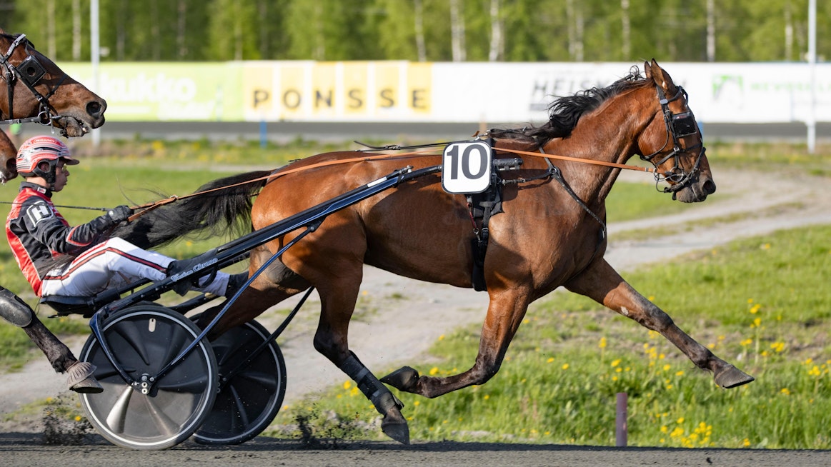 MAS Champ ja Santtu Raitala tekivät Kuopion Kavioliiga Grand Prixissä mahdottomasta mahdollisen.
