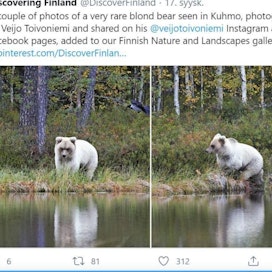 Kuvissa nähty eläin on tutkimusprofessori Ilpo Kojolan näkemyksen mukaan nuori, ehkä parivuotias. &quot;Näin nuorten karhujen sukupuolen määrittely kuvasta menee arvuutteluksi. Jos on pakko valita, ehdotan naarasta.&quot;