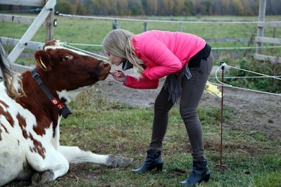 Kaupunkilaistytöksi itseään kuvaileva Diana Selkälä on Maatalous-metsäylioppilaiden liiton puheenjohtaja. Maatalous-metsätieteellisen tiedekunnan koetilan lehmät ovat tulleet tutuksi opintojen myötä.