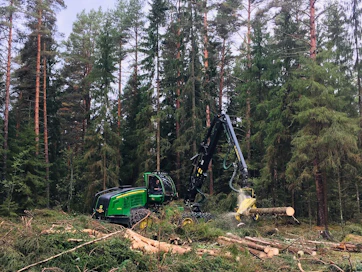 Hyvällä hoidolla metsien kestävät hakkuumahdollisuudet voivat nousta 90 miljoonaan kuutioon.