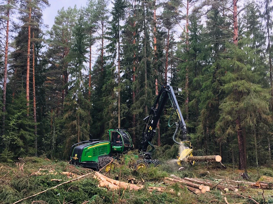 Hyvällä hoidolla metsien kestävät hakkuumahdollisuudet voivat nousta 90 miljoonaan kuutioon.