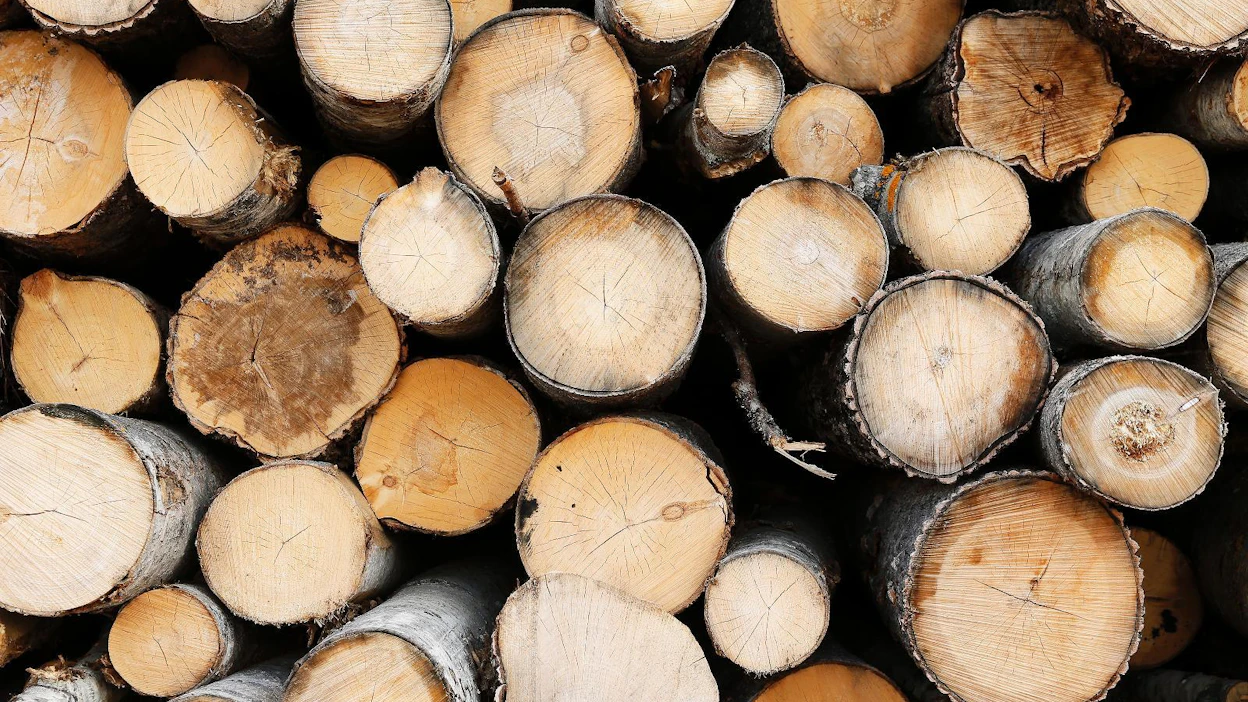 Stora Enso ja UPM ovat pyytäneet Suuren Savotan metsänomistajilta sitovaa vastausta vuoden loppuun mennessä.