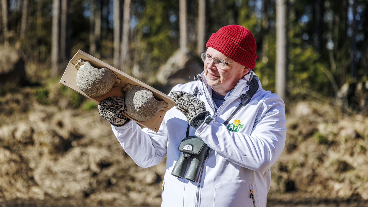Birdlife Suomen viestintäasiantuntija Jukka Hintikka esitteli pääskysen tekopesää Koivumäen maitotilalla Pyhtäällä viime huhtikuussa.