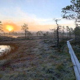 MTK:n mukaan Suomi on esimerkki laajasta luontotyöstä.