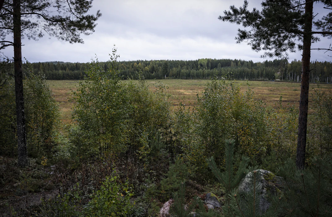 Ennallistamistoimiin voisi sisältyä metsäalueiden vettämistä kaivamalla ojat kiinni, turvemaista tehtyjen peltojen muuttamista kosteikoiksi, maatalousmaaksi kuivatettujen merenlahtien penkereen puhkomista tai jopa järven pintojen nostamista.