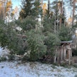 Hannes-myrsky kaatoi puita eri puolilla Suomea.