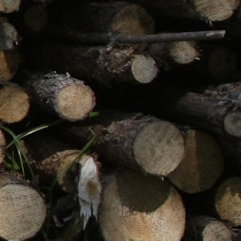 Espoon kaupunki on selvittänyt ely-keskukselle puuston kaatamista Träskändan luonnonsuojelualueella.