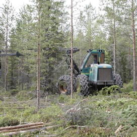 Puukauppamäärä tipahti viime viikolla edellisviikon huippuvauhdista reiluun 0,6 miljoonaan kuutiometriin.