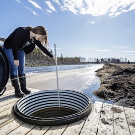 Luonnonvarakeskuksen tutkija Maarit Liimatainen mittaa kastelujärjestelmän syöttökaivon vedenpinnan korkeutta Ruukissa. 