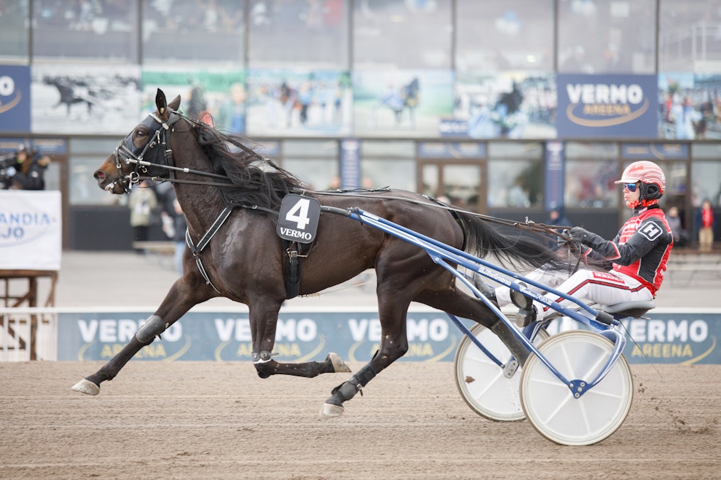 13-aikainen Oulu Express -finalisti Heikki Korhoselta Kimmo Kärkkäiselle –  ”Valmentamallahan hevonen ei parane” - MT Hevoset - Maaseudun Tulevaisuus