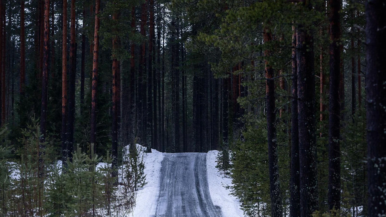 Lapissa Tervolassa sijaitseva A-metsä ja tie Oy muun muassa kilpailuttaa puukauppoja asiakkaidensa puolesta sekä tekee metsäsuunnitelmia ja yksityisteiden perusparannuksia.
