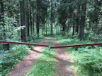 Lukollinen puomi voi pitää mustikanpoimijat ja pitkäkyntiset loitolla, mutta ei estä pelastustyötä.